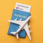 immigration_servics_1000_1000_comp